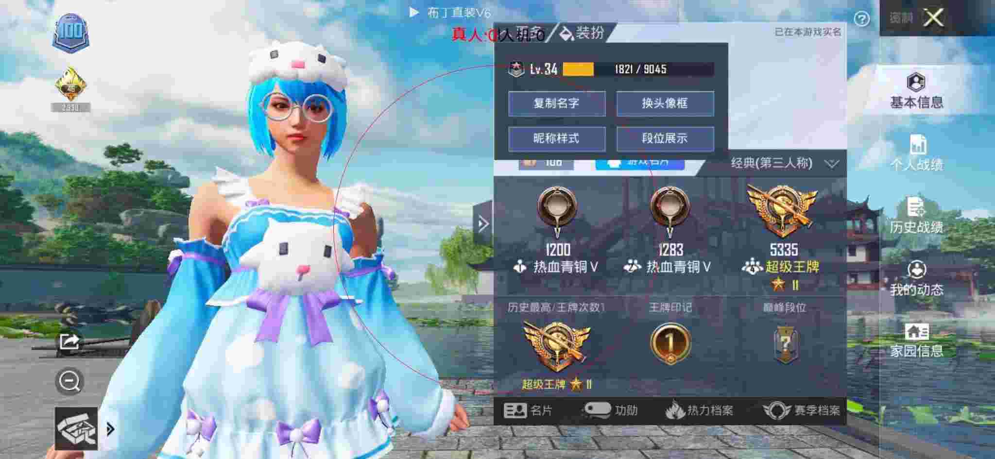 和平精英布丁直装透视 - 和平精英-和平辅助卡通手绘图高清大图辅助预览图